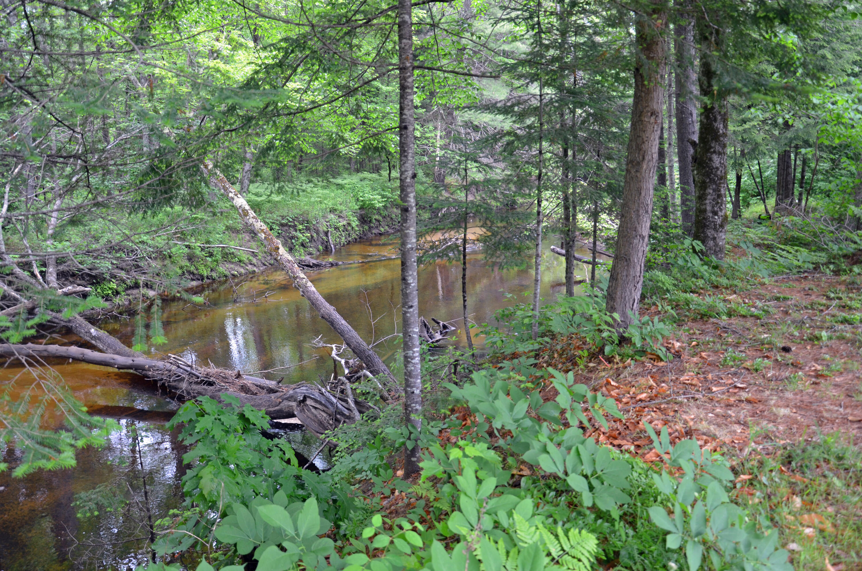 1194 Norway Road Waterford, ME 04088 - Photo 5 of 35 2021-06-03 19.20.32