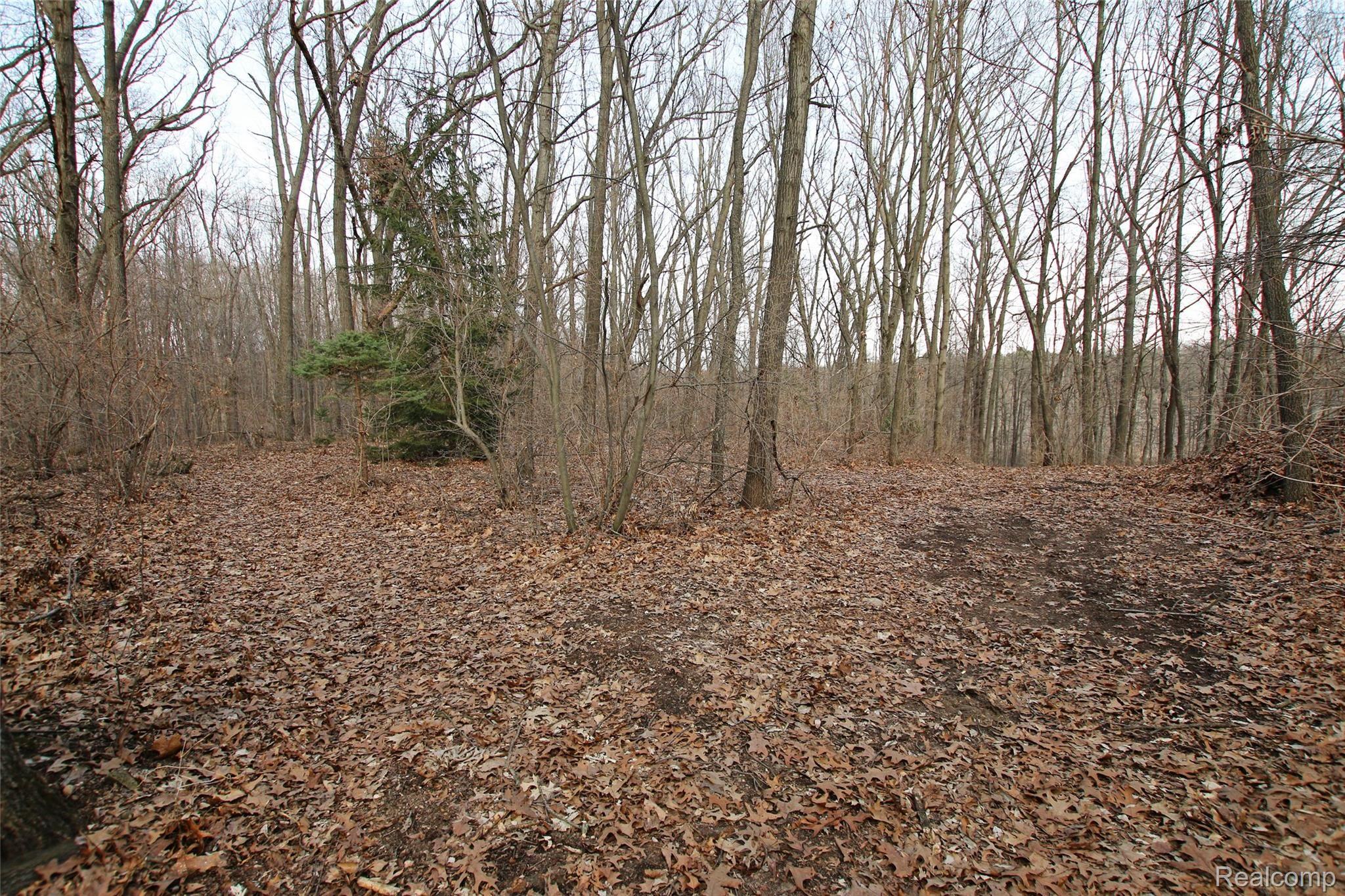 1085 Bird Road Ortonville, MI 48462 - Photo 76 of 79 76) Property Trails.jpg