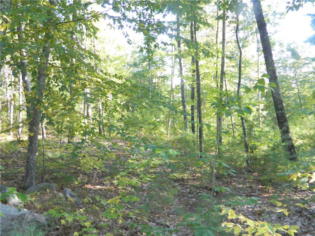 Lot 16-8 Avery Road Waterboro, ME 04087 - Photo 2 of 7 Photo