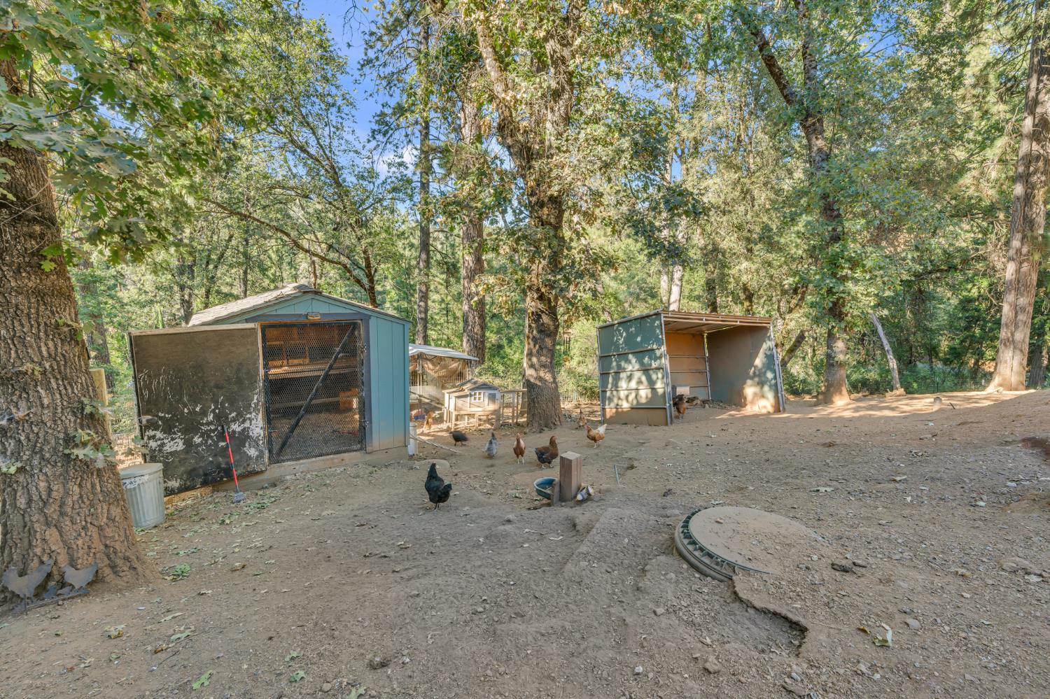 21930 Placer Hills Road Colfax, CA 95713 - Photo 69 of 98