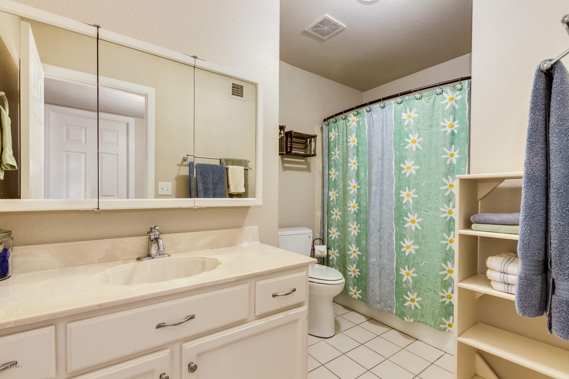421 West Ray Road Gilbert, AZ 85233 - Photo 40 of 48 HALL BATH UPSTAIRS
