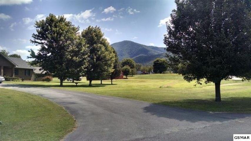 12 Line Springs Road Sevierville, TN 37862 - Photo 12 of 12