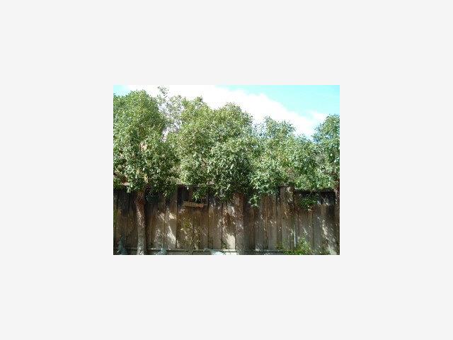 17792 Riverbend Road Salinas, CA 93908 - Photo 7 of 9 Gallery Image 7