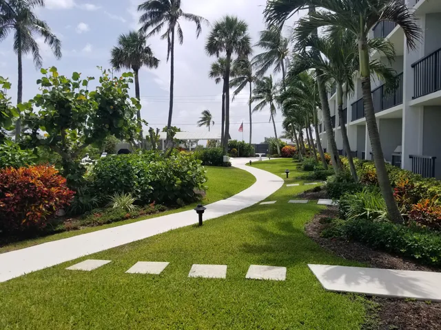 a view of a backyard with palm trees