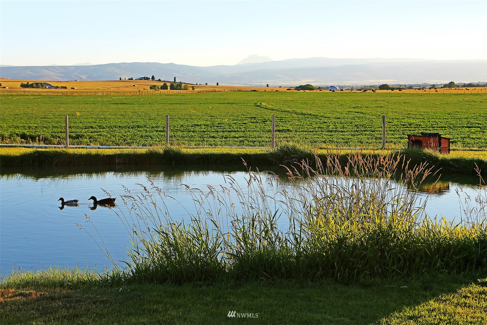 1791 Fox Road Ellensburg, WA 98926 - Photo 26 of 40 Gallery Image 26