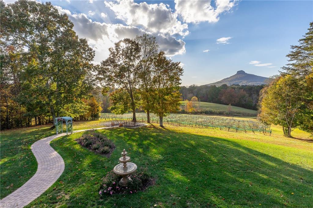 Undisclosed Address Pinnacle, NC 27043 - Photo 31 of 39