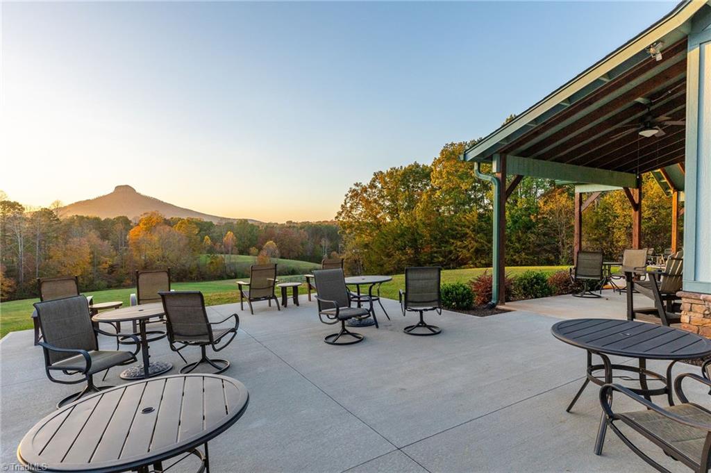 Undisclosed Address Pinnacle, NC 27043 - Photo 35 of 39