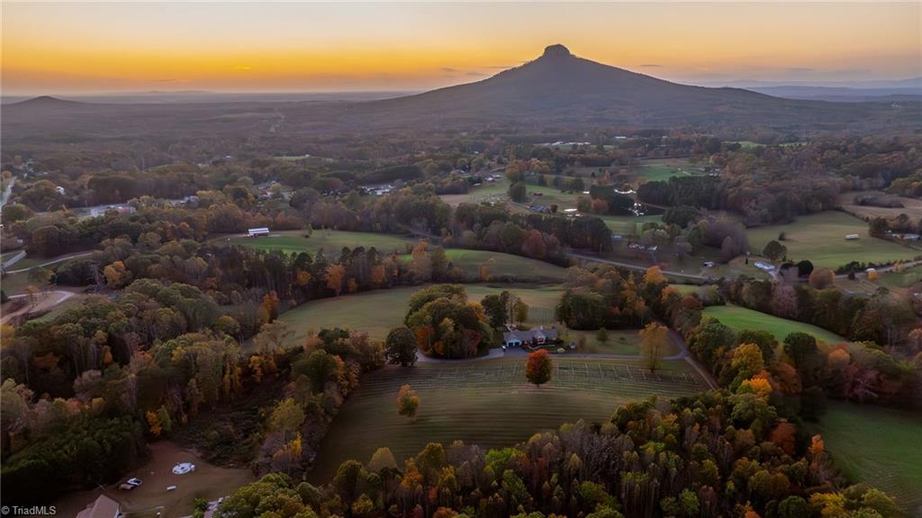 Undisclosed Address Pinnacle, NC 27043 - Photo 39 of 39