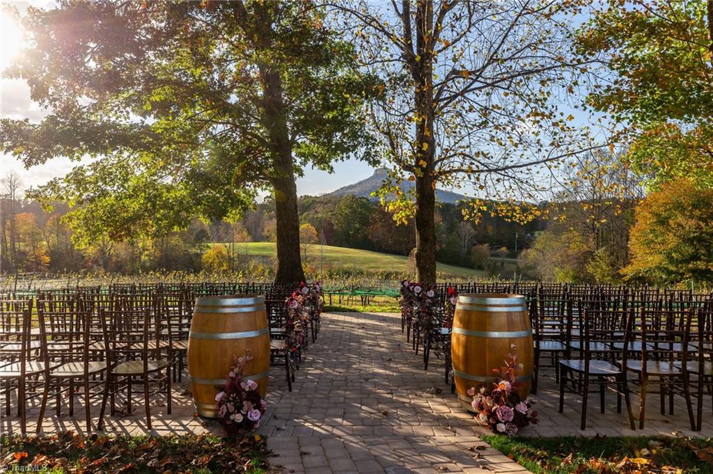 Undisclosed Address Pinnacle, NC 27043 - Photo 8 of 39