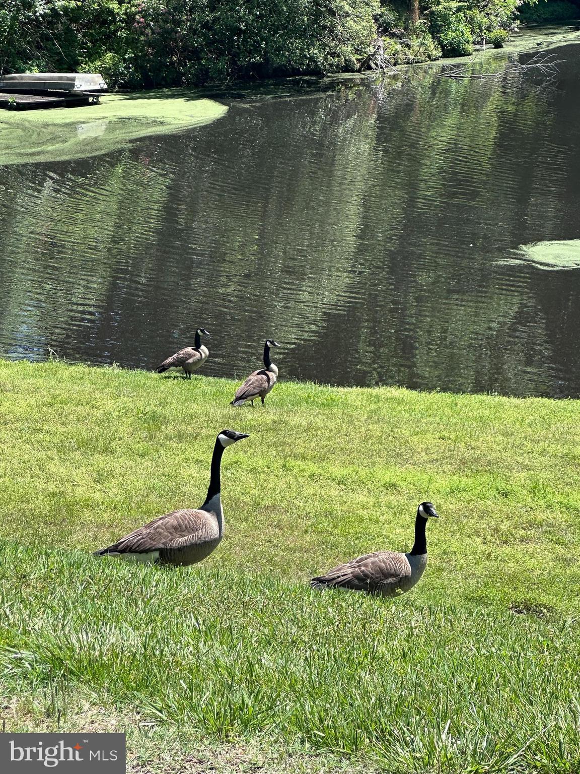 11606 Rivershore Drive Dunkirk, MD 20754 - Photo 33 of 33 Great Place to live