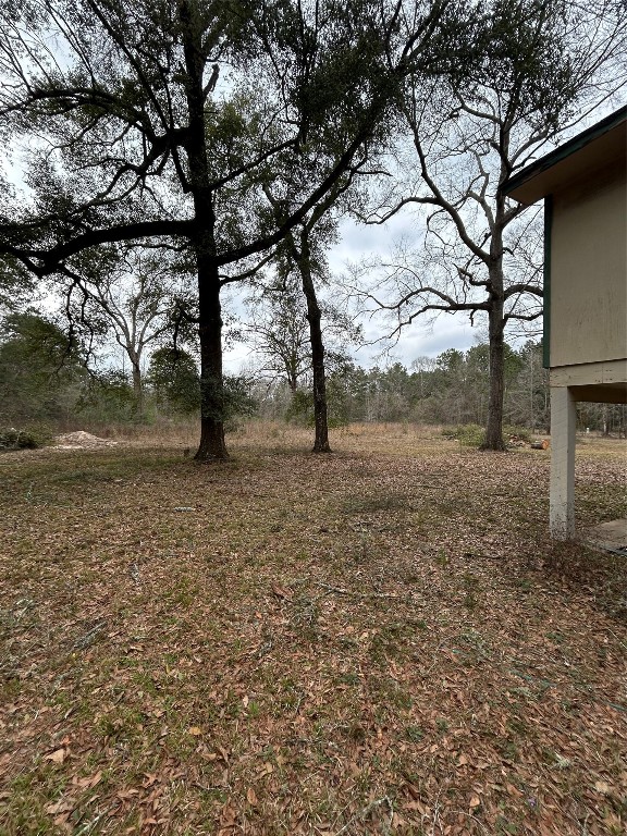 a view of empty yard with trees