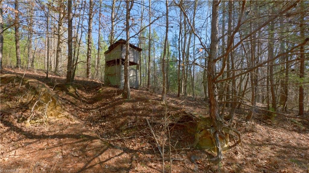 0 Sagebrush Road Ruffin, NC 27326 - Photo 29 of 50 Gallery Image 29