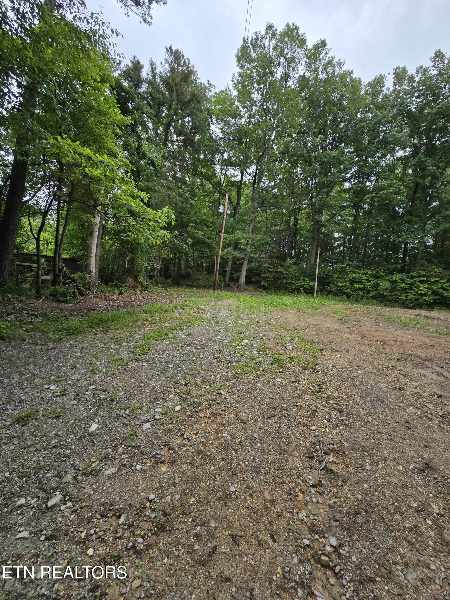 689 Ivey Hollow Road La Follette, TN 37766 - Photo 1 of 12 1000007089