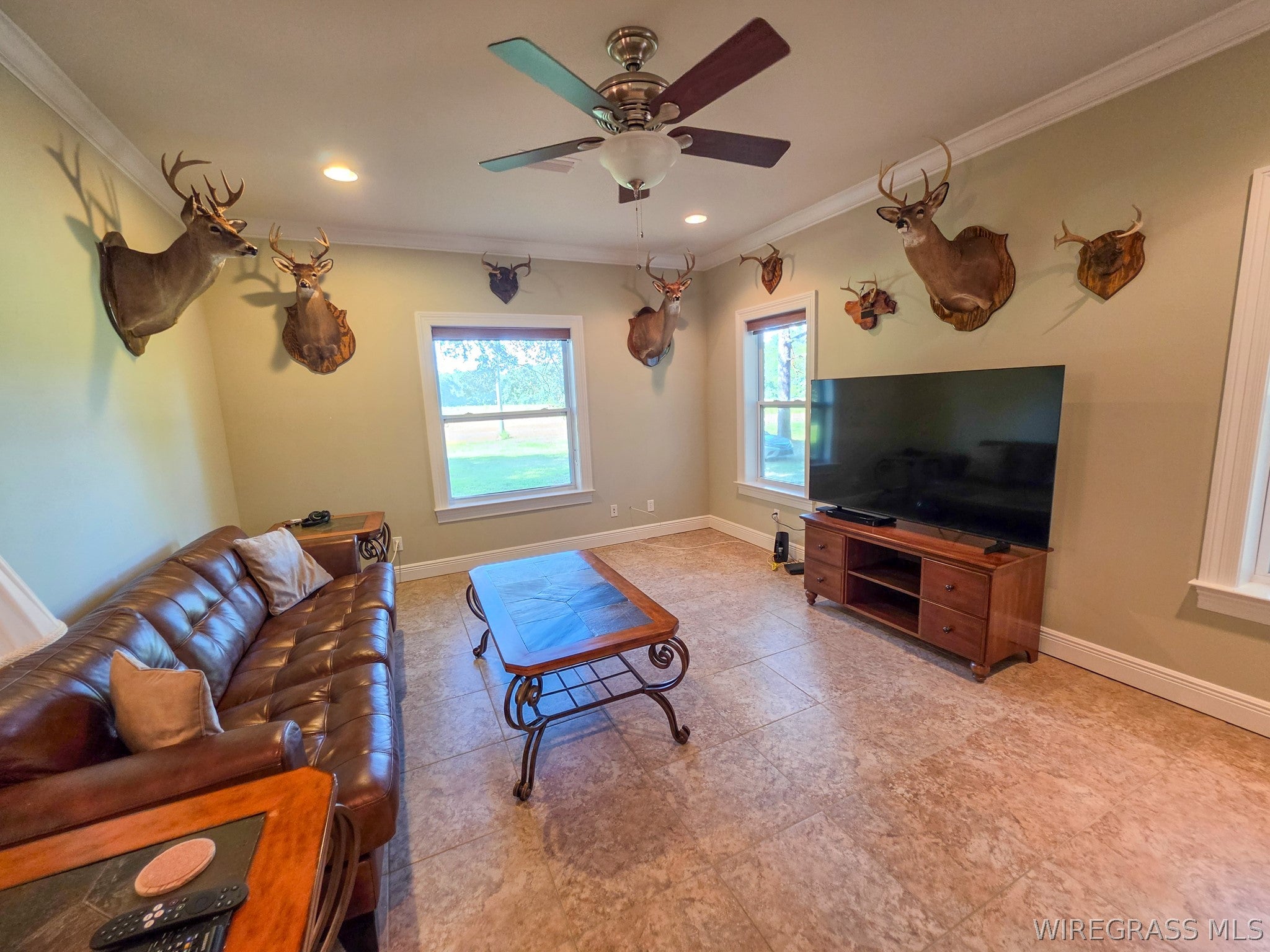 3433 Iron Bridge Road Samson, AL 36477 - Photo 11 of 57 Gallery Image 11