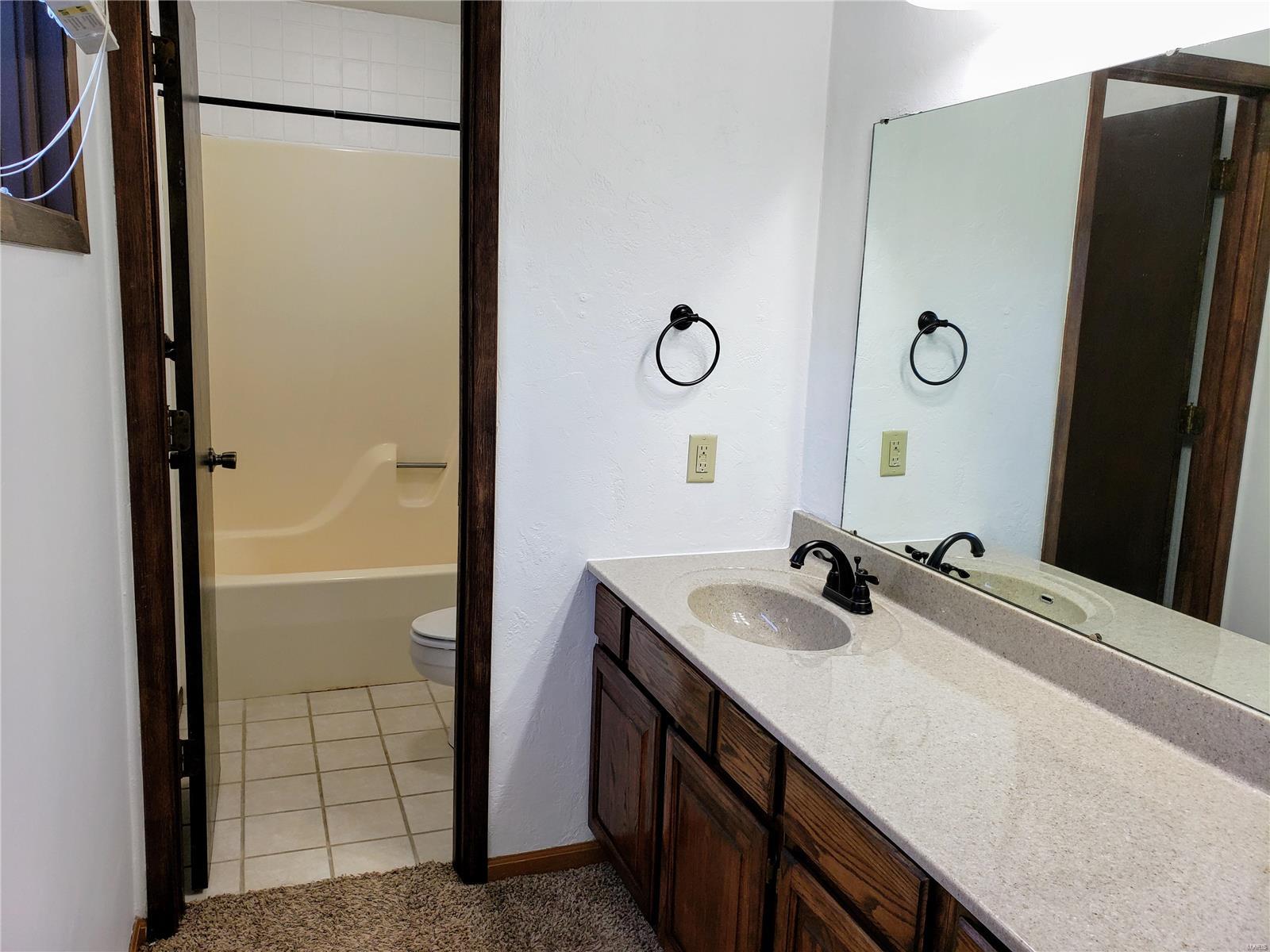 445 Blue Bird Lane Troy, IL 62294 - Photo 17 of 31