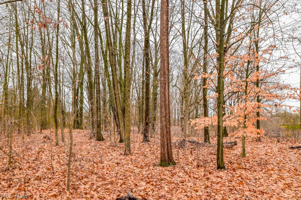 6935 Peck Road Ravenna, OH 44266 - Photo 21 of 22 Wooded areas to explore!
