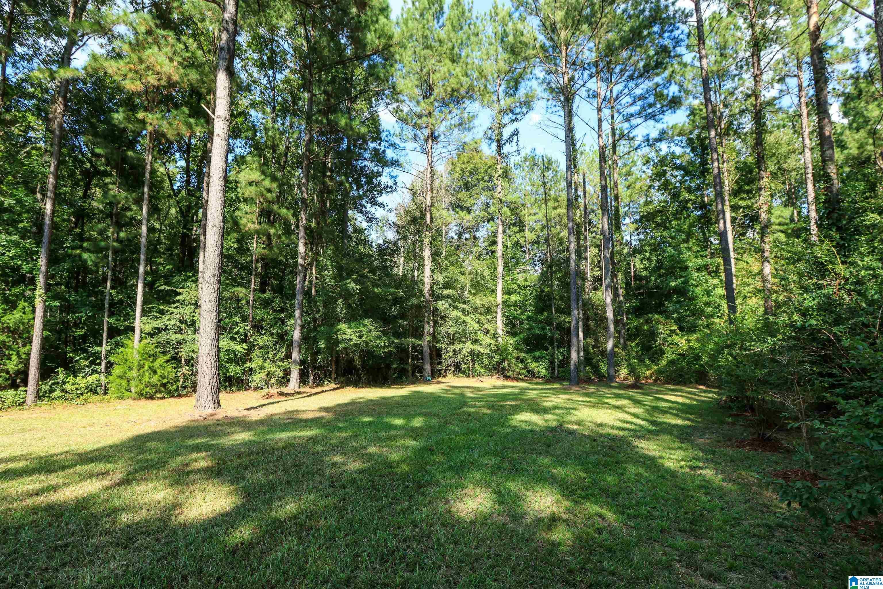 35 Rock Springs Road Ohatchee, AL 36271 - Photo 30 of 66 Gallery Image 30