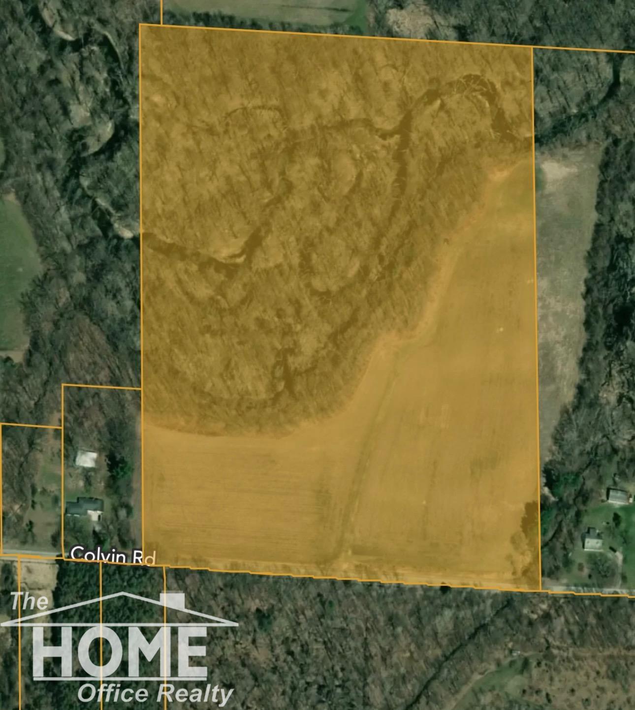 0 Colvin Road St. Charles, MI 48655 - Photo 4 of 23