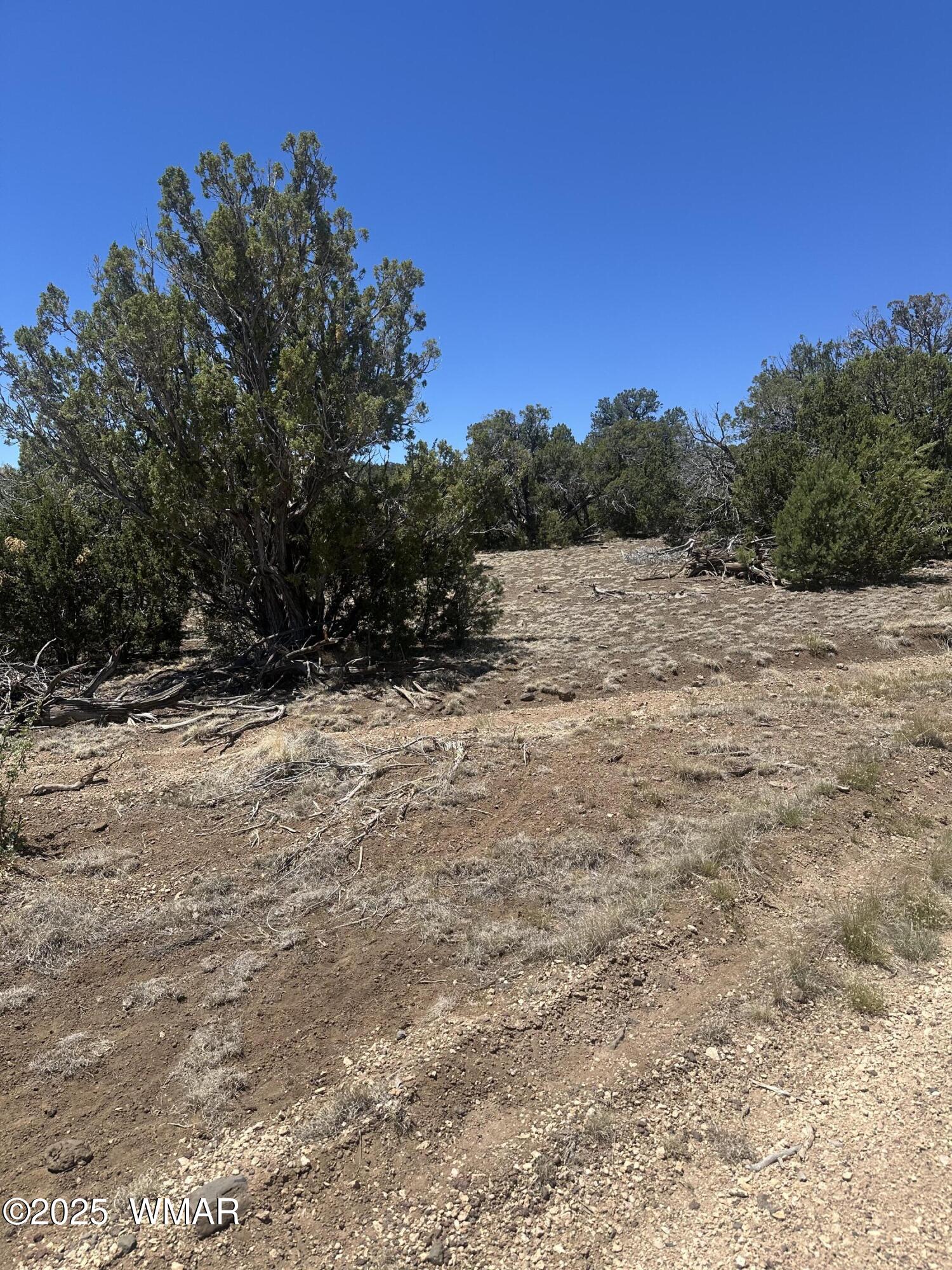 3 County Road Show Low, AZ 85901 - Photo 6 of 8 Lot 1