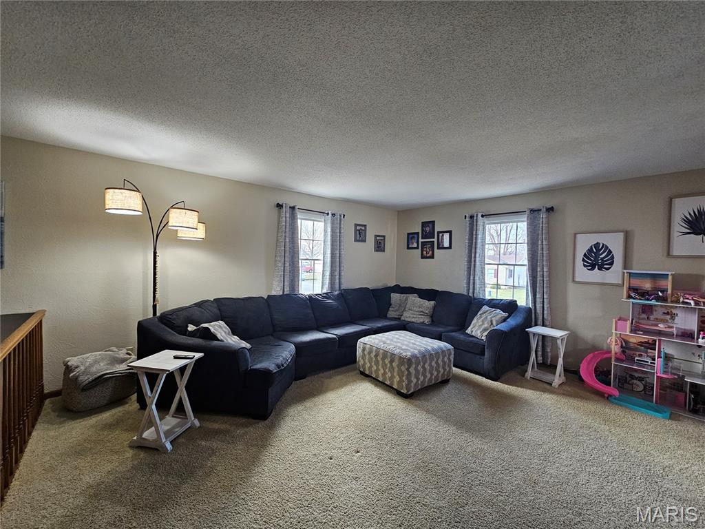 806 Windy Way Steeleville, IL 62288 - Photo 12 of 52