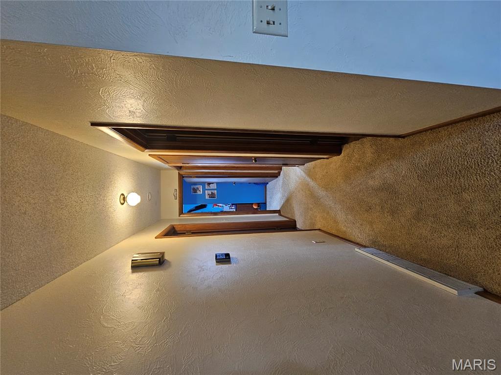 806 Windy Way Steeleville, IL 62288 - Photo 19 of 52