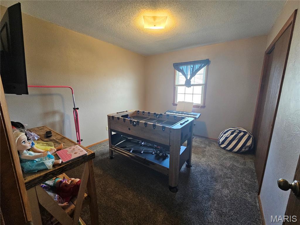 806 Windy Way Steeleville, IL 62288 - Photo 21 of 52