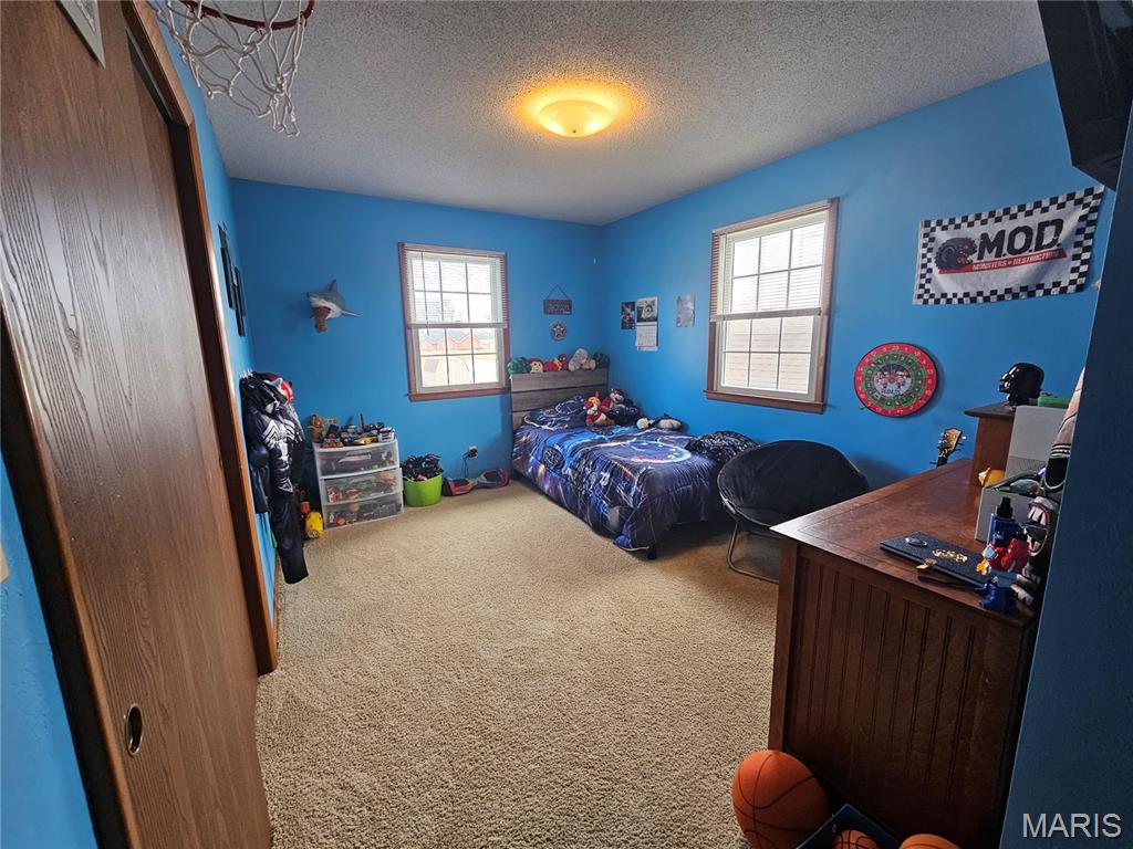 806 Windy Way Steeleville, IL 62288 - Photo 22 of 52