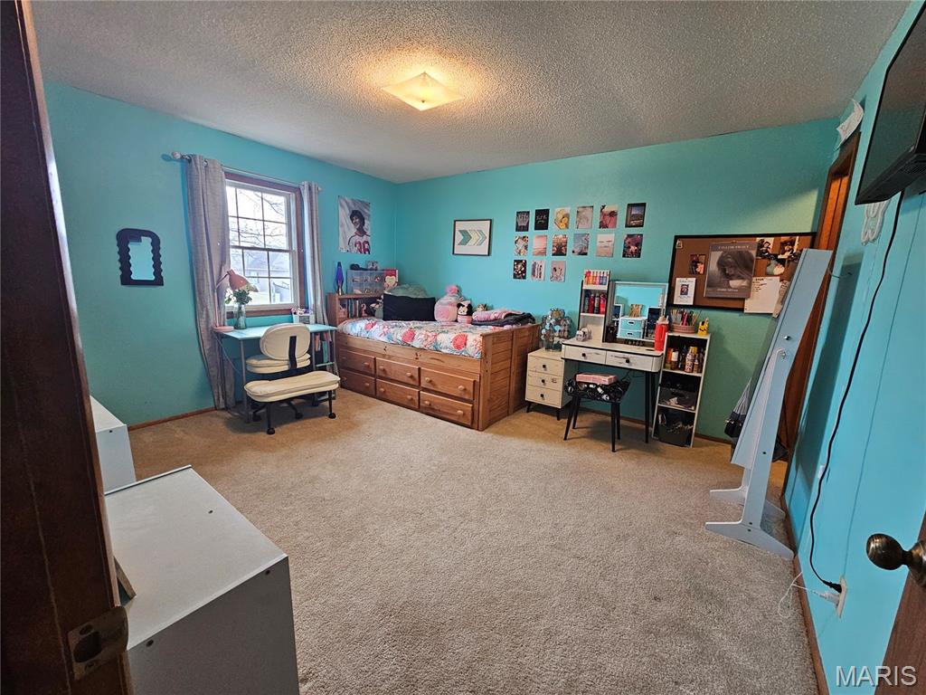 806 Windy Way Steeleville, IL 62288 - Photo 24 of 52