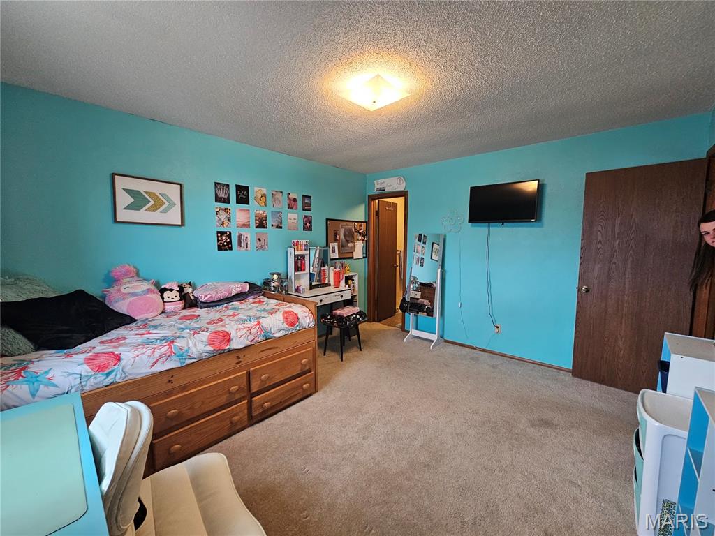 806 Windy Way Steeleville, IL 62288 - Photo 25 of 52