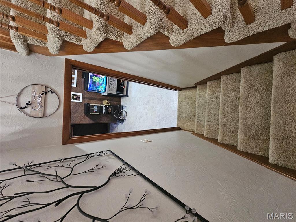 806 Windy Way Steeleville, IL 62288 - Photo 28 of 52