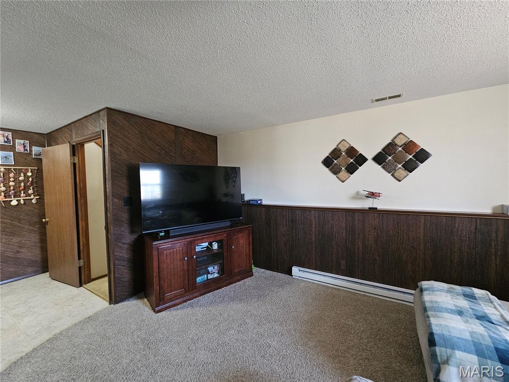 806 Windy Way Steeleville, IL 62288 - Photo 30 of 52