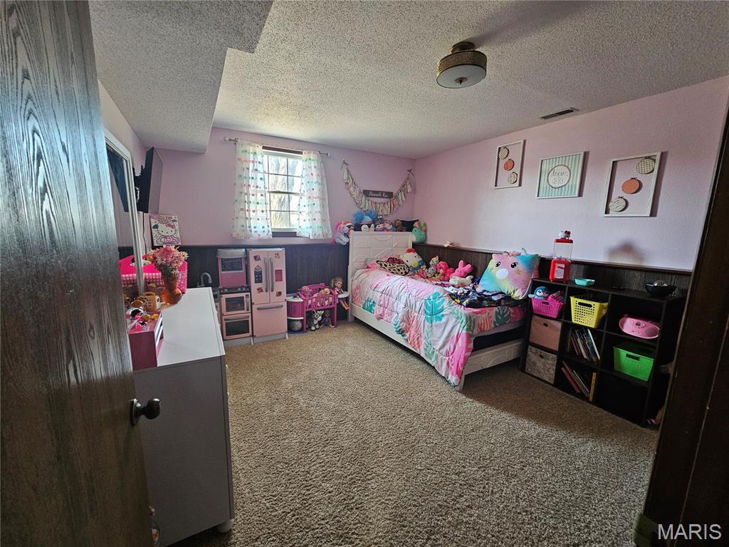 806 Windy Way Steeleville, IL 62288 - Photo 32 of 52