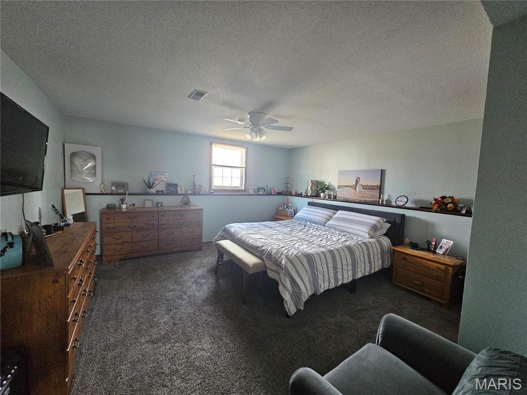 806 Windy Way Steeleville, IL 62288 - Photo 35 of 52