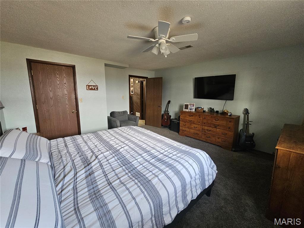 806 Windy Way Steeleville, IL 62288 - Photo 36 of 52