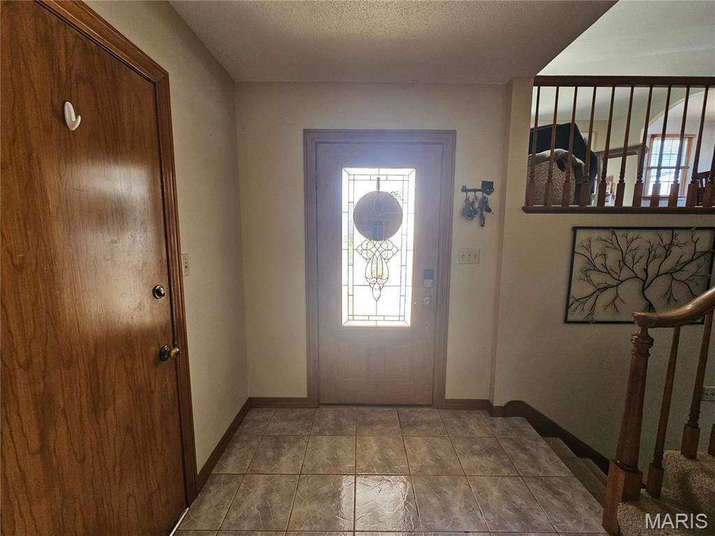 806 Windy Way Steeleville, IL 62288 - Photo 7 of 52