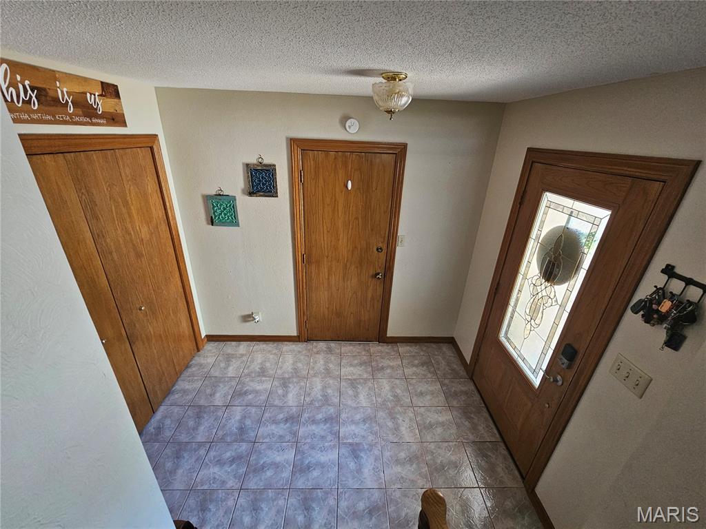 806 Windy Way Steeleville, IL 62288 - Photo 8 of 52