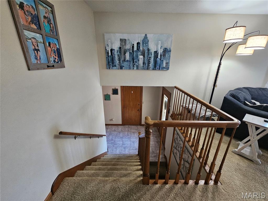 806 Windy Way Steeleville, IL 62288 - Photo 10 of 52