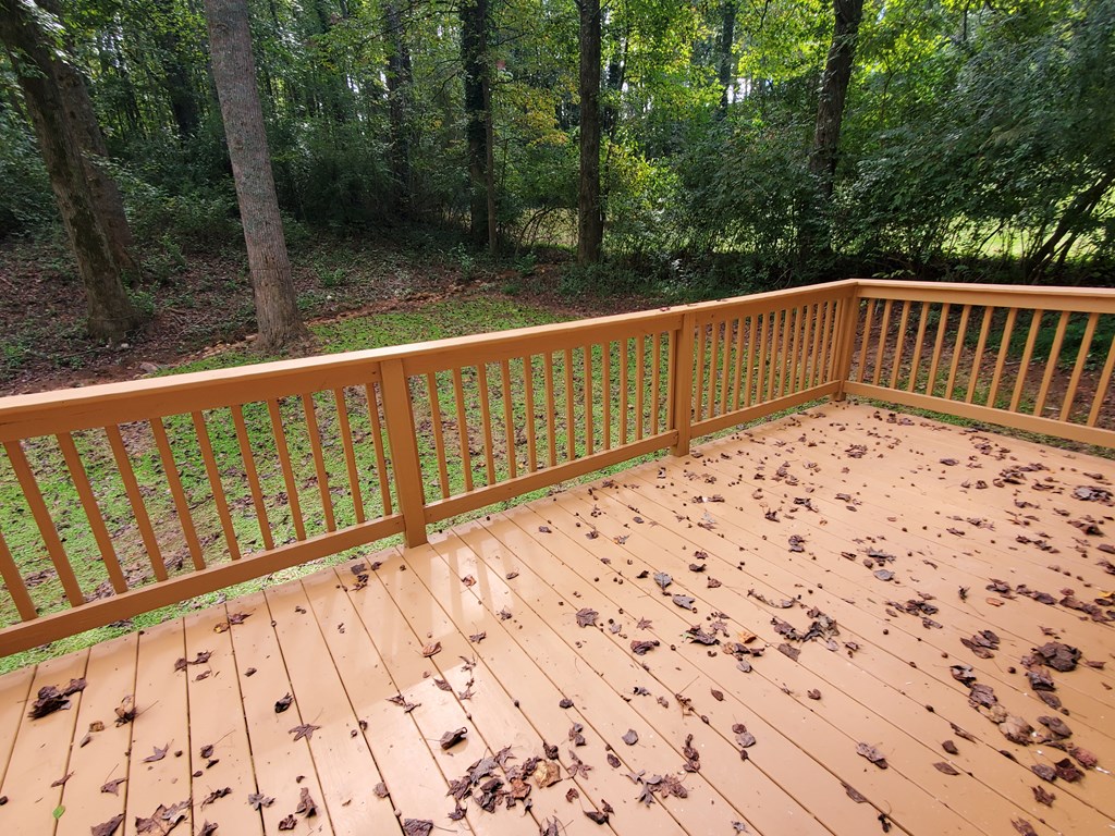 653 Pioneer Road Jasper, GA 30143 - Photo 19 of 24