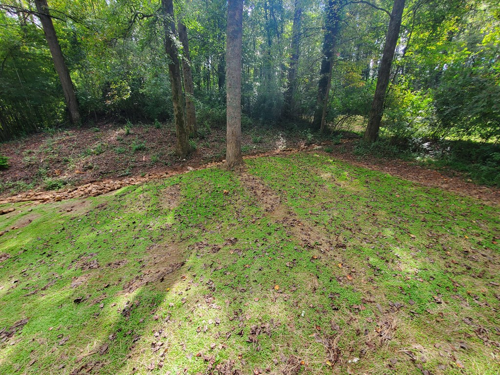 653 Pioneer Road Jasper, GA 30143 - Photo 21 of 24