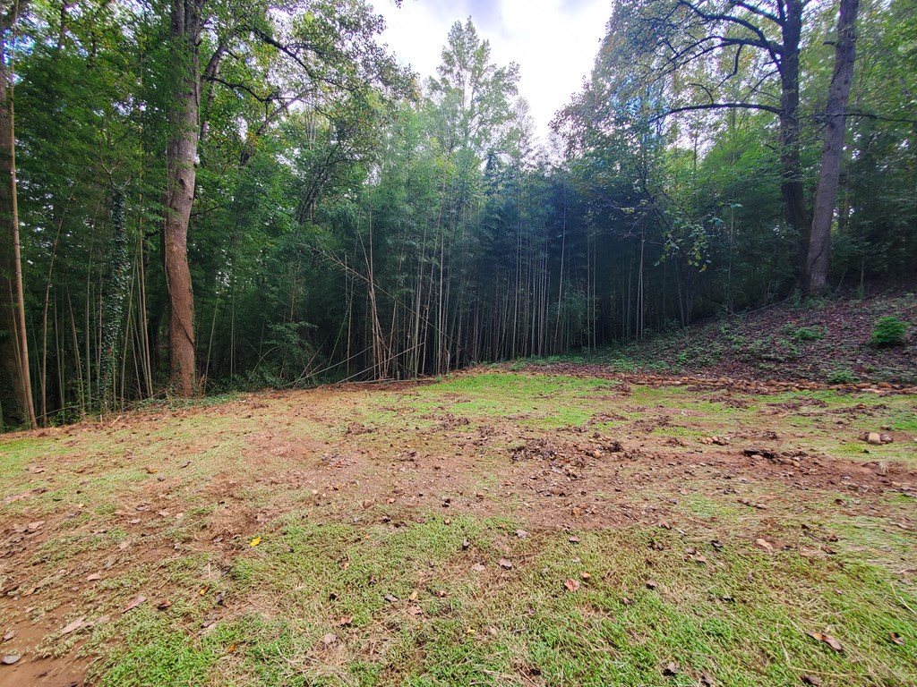 653 Pioneer Road Jasper, GA 30143 - Photo 24 of 24