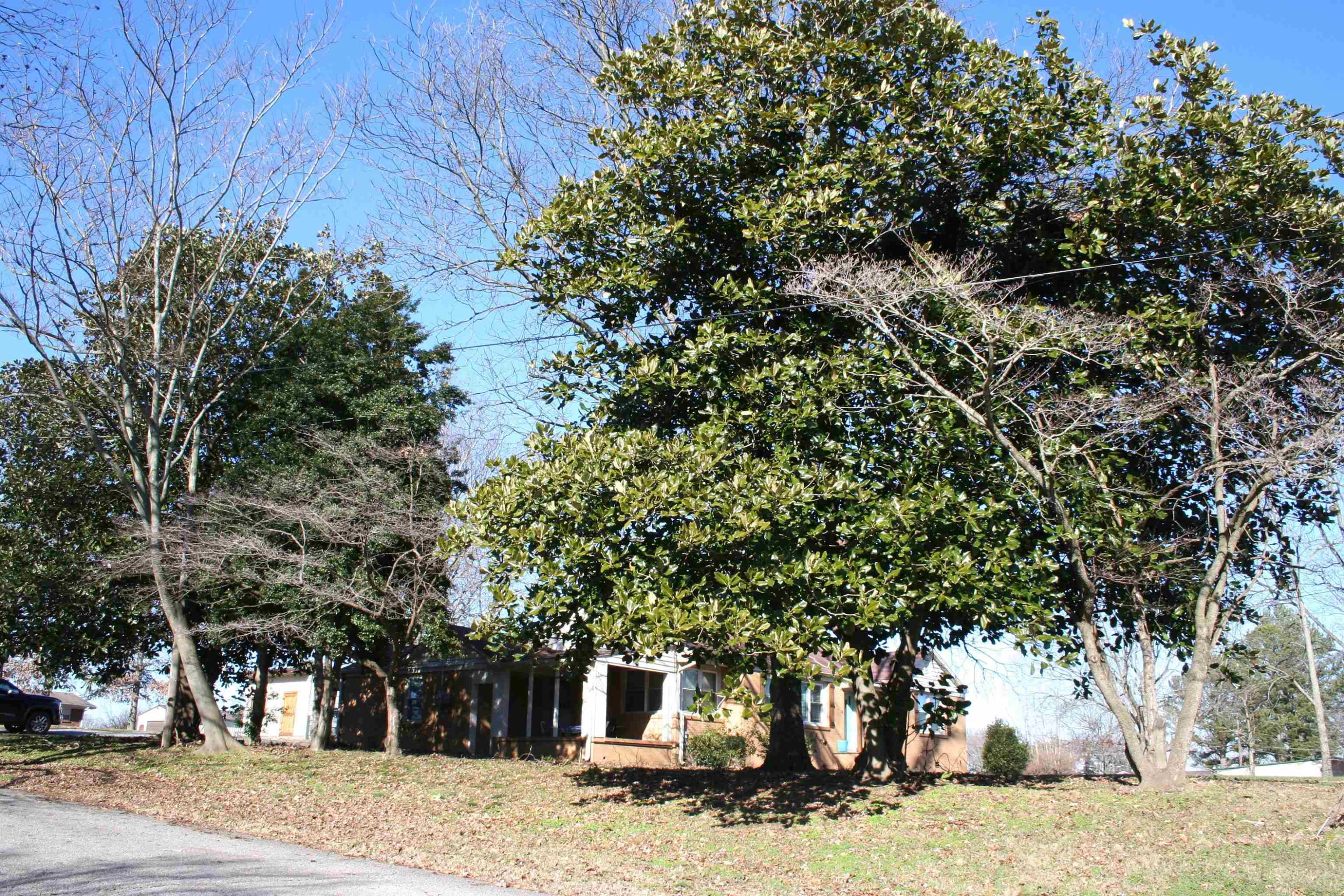 103 North West Street Rutherford, TN 38369 - Photo 5 of 38 Photo 5