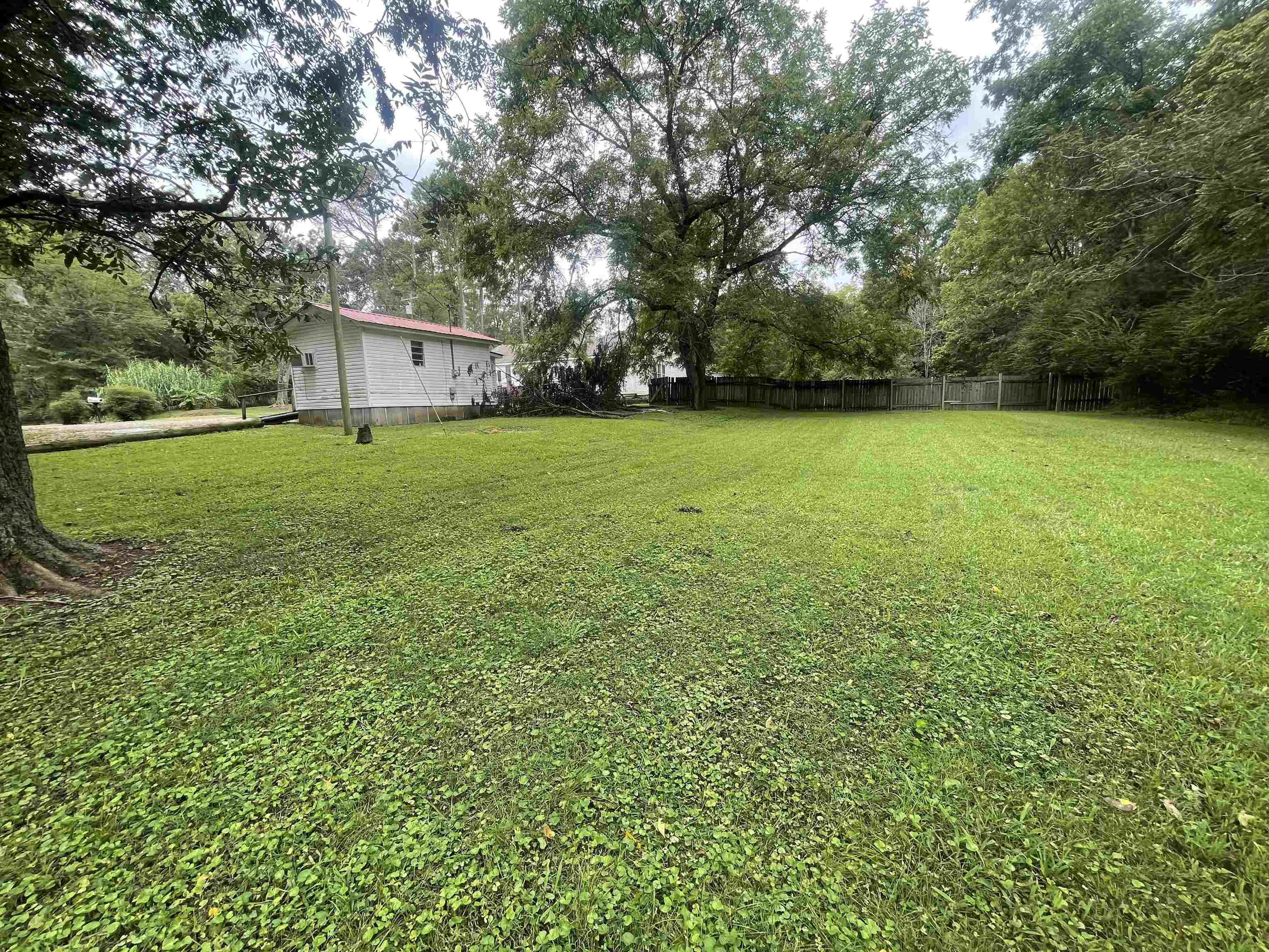 213 Adams Selmer, TN 38375 - Photo 6 of 16 a view of a big yard