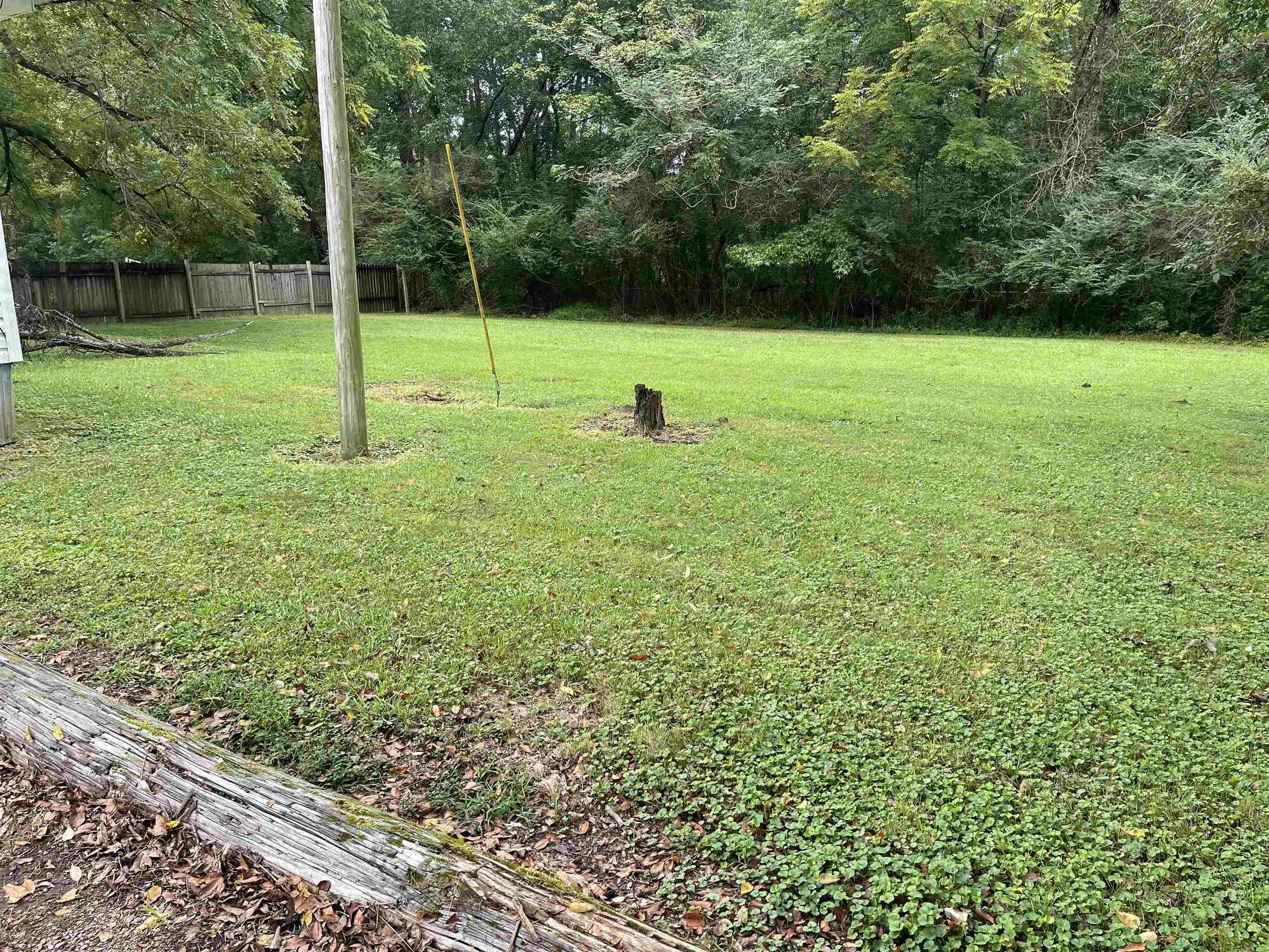 213 Adams Selmer, TN 38375 - Photo 8 of 16 a view of field with tall trees