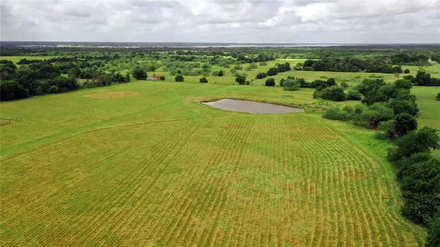 a view of a lush green field with lots of plants