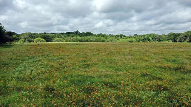 a view of outdoor space with green field