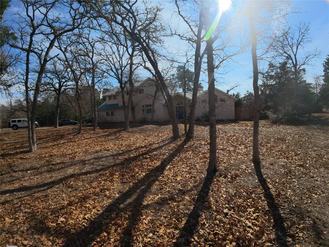 a view of a yard with trees