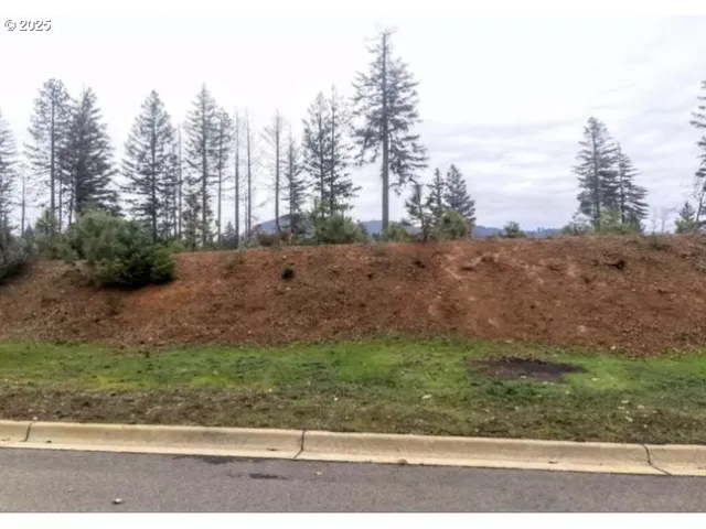 a view of a yard with large trees