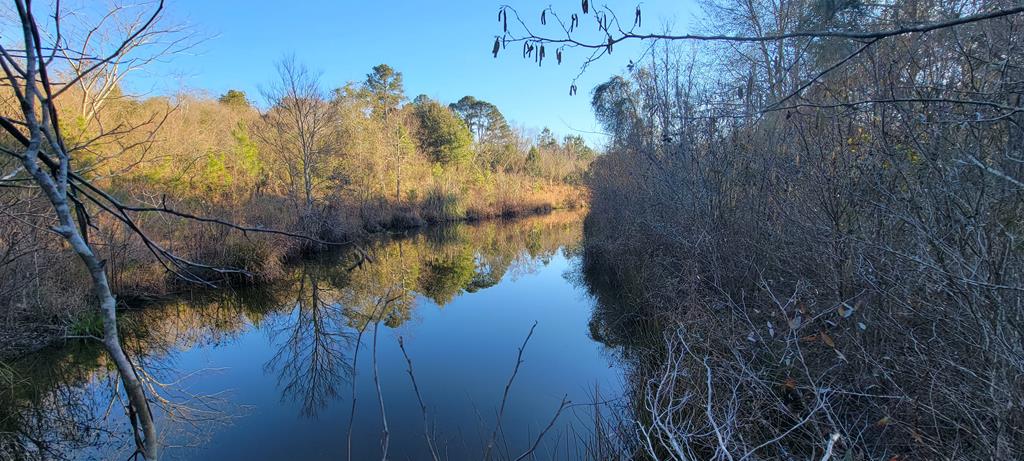 50.45-acres Trawick Road Dothan, AL 36301 - Photo 15 of 62