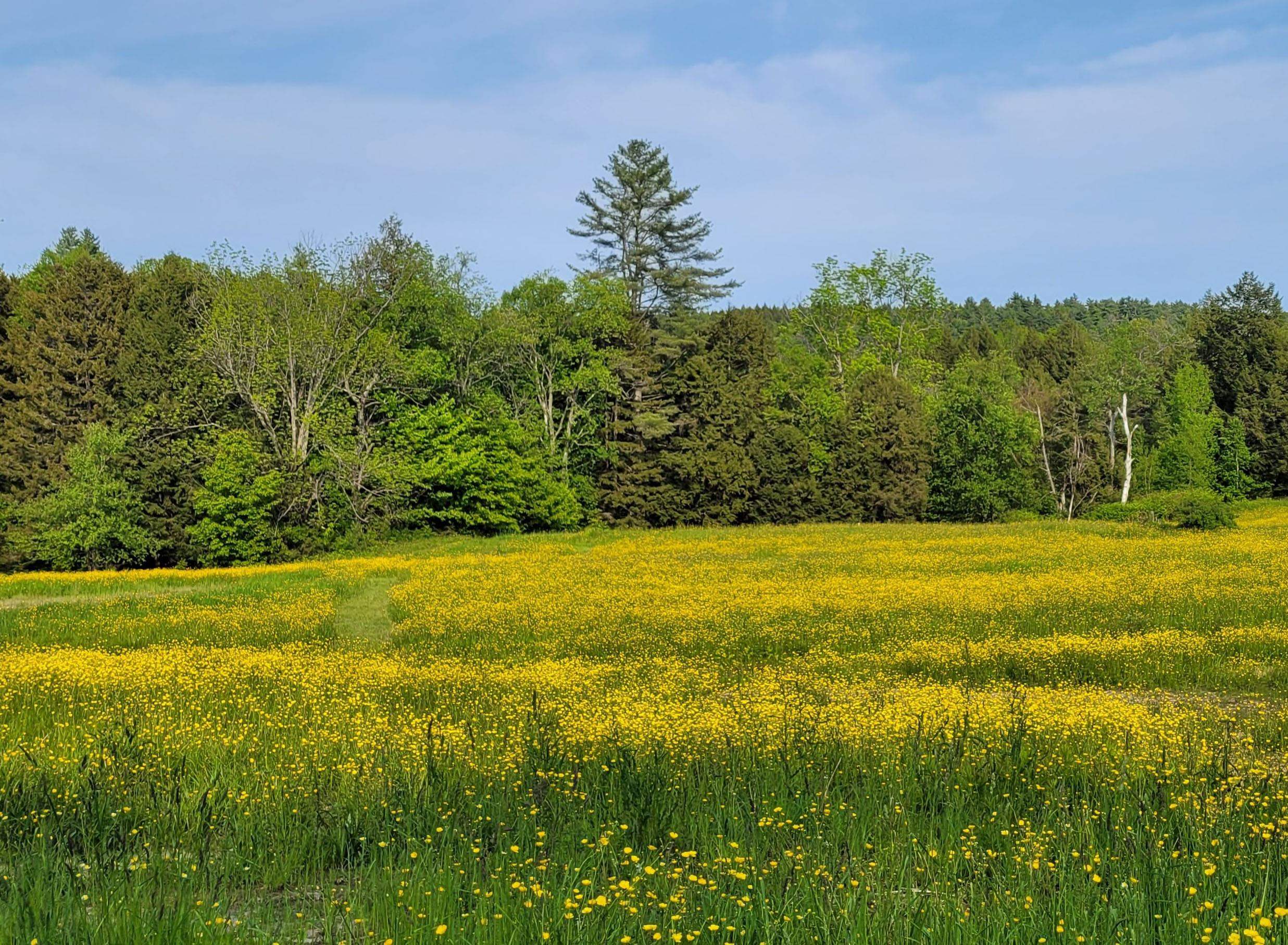 713 South Hill Road Ludlow, VT 05149 - Photo 11 of 19