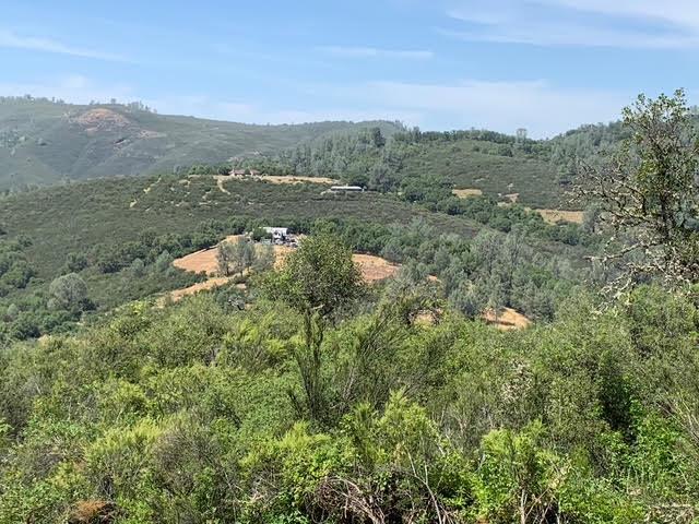 555 Jurgens Road Rescue, CA 95672 - Photo 4 of 38 Gallery Image 4